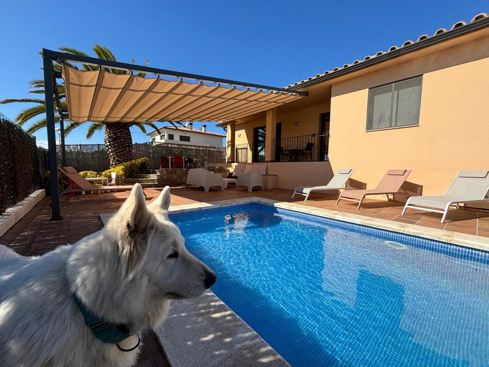 Villas Medes Mar - Plus Costa Brava L'Estartit Buitenkant foto